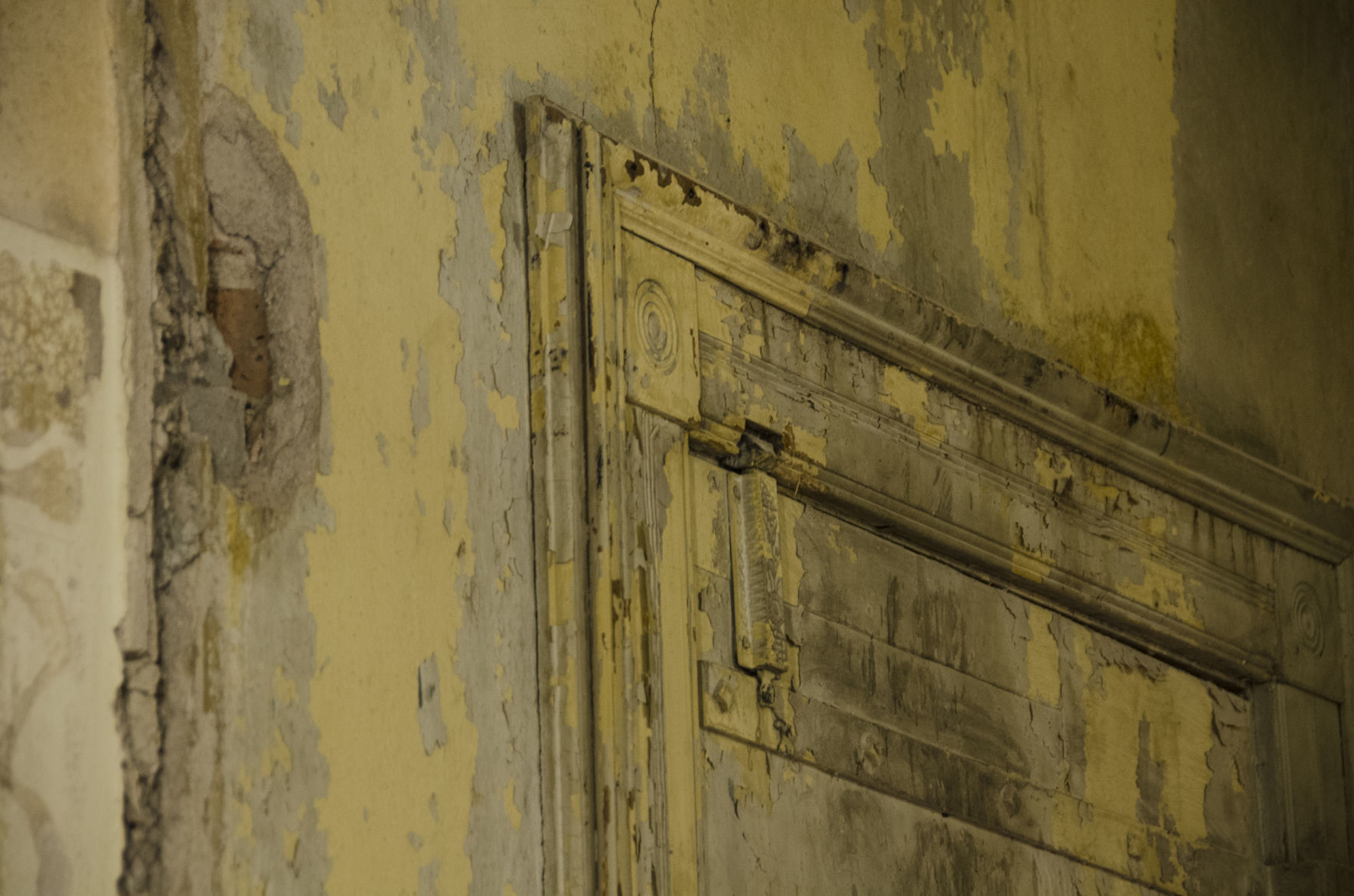 Hidden door behind elevator
